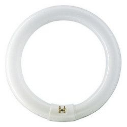 Лампа TL-E Circular Standard Colours